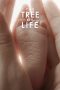 The Tree of Life (2011) Sub Indo The Tree of Life (2011) Sub Indo