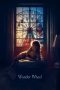 Wonder-Wheel-2017
