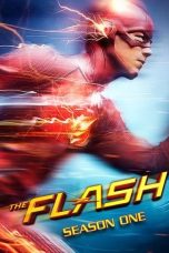 The Flash Season 1 (2014)