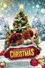 Project Puppies for Christmas (2019)