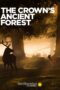 The Crown's Ancient Forest (2021) The Crown's Ancient Forest (2021)