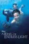 a-ring-of-endless-light-2002