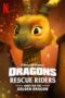 dragons-rescue-riders-hunt-for-the-golden-dragon-2020