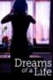 dreams-of-a-life-2011