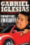gabriel-iglesias-im-not-fat-im-fluffy-2009