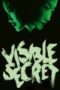 visible-secret-2001