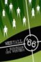 westall-66-a-suburban-ufo-mystery-2010