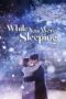 while-you-were-sleeping-season-1-2017
