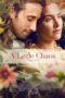 a-little-chaos-2014