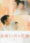 april-bride-2009