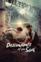 descendants-of-the-sun-season-1-2016