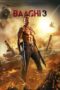 baaghi-3-2020