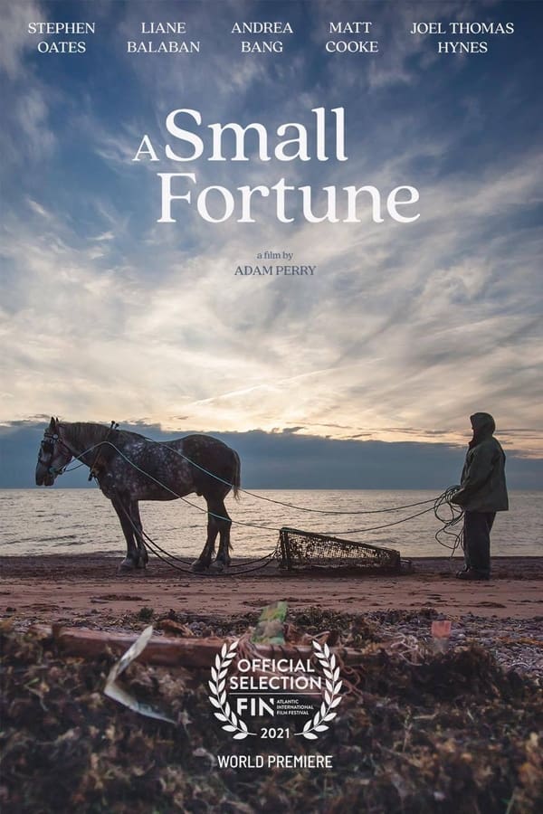 A Small Fortune (2021)