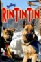 finding-rin-tin-tin-2007