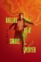 ballad-of-a-small-player-2025
