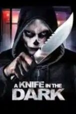 a-knife-in-the-dark-2024